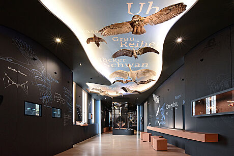 Natural History Museum Braunschweig; LED Luc miniSpot